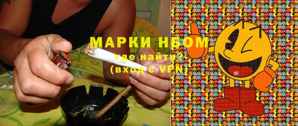 spice Богородицк